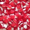 Petits Coeurs fraise-crème LISSES 100g